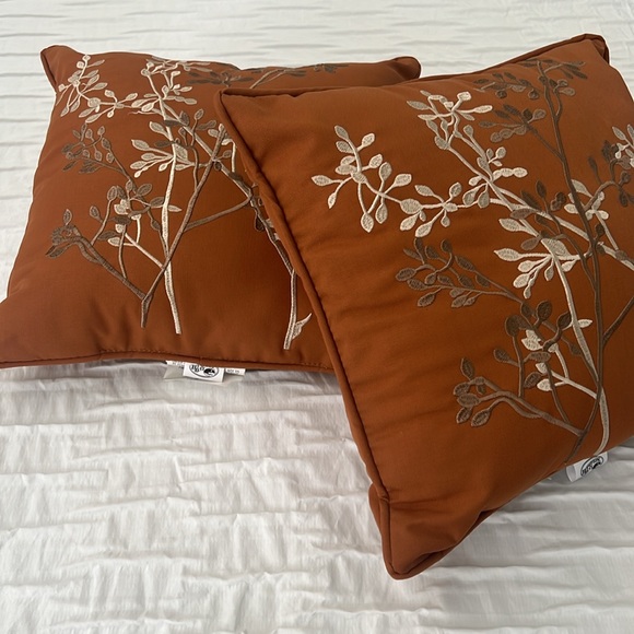 Set of 2 Pillows - Picture 2 of 6